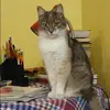Отзыв от Варвара Калашникова